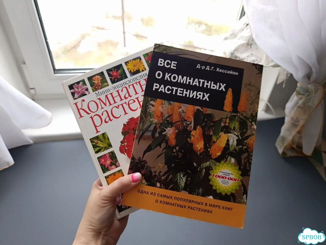 Пакет книг о комнатных растениях Д. Хейссайон фото 11