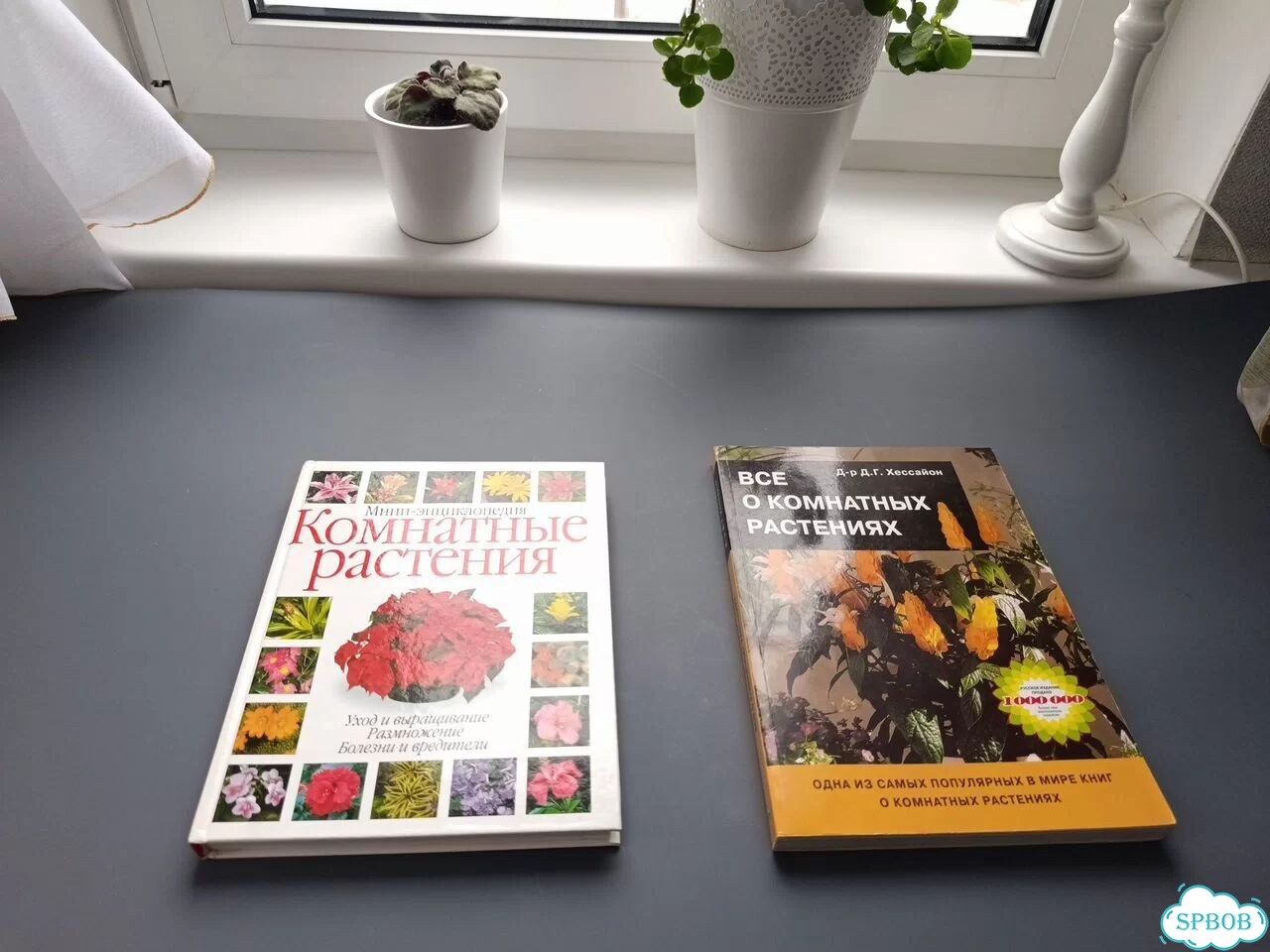 Пакет книг о комнатных растениях Д. Хейссайон фото 3
