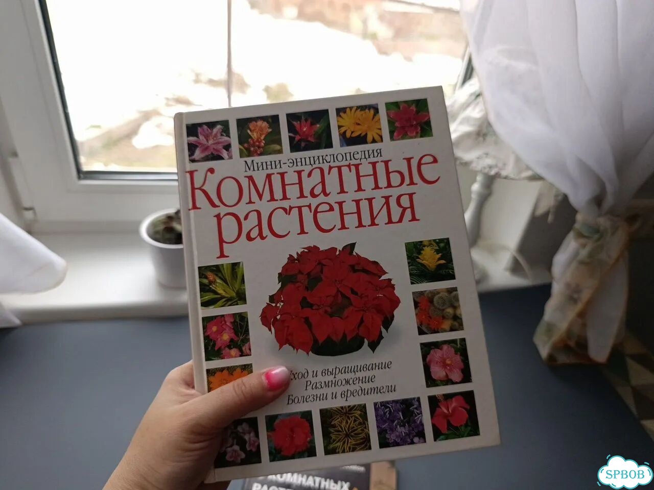 Пакет книг о комнатных растениях Д. Хейссайон фото 5