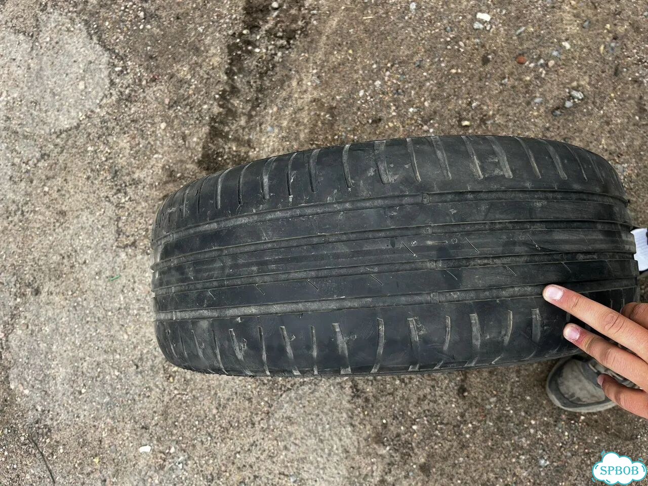 Cordiant Sport 3 205/55 R16 91 фото 2