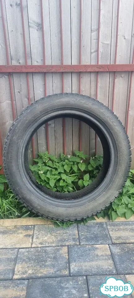 Pirelli Ice Zero 2 245/50 R19 фото 1