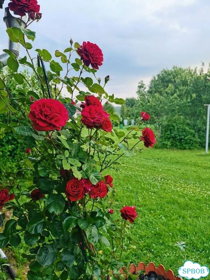 Дом 60 м² на участке 16,5 сот. фото 12