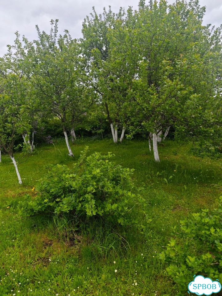 Дом 60 м² на участке 16,5 сот. фото 8