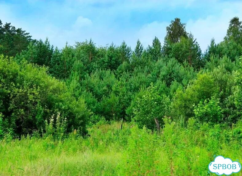 Участок 7,18 га (СНТ, ДНП) фото 1
