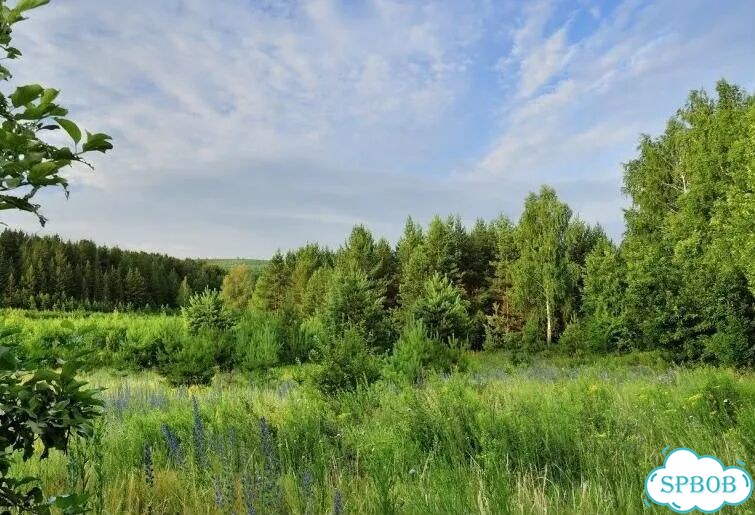 Участок 7,18 га (СНТ, ДНП) фото 2