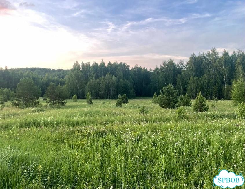 Участок 7,18 га (СНТ, ДНП) фото 3