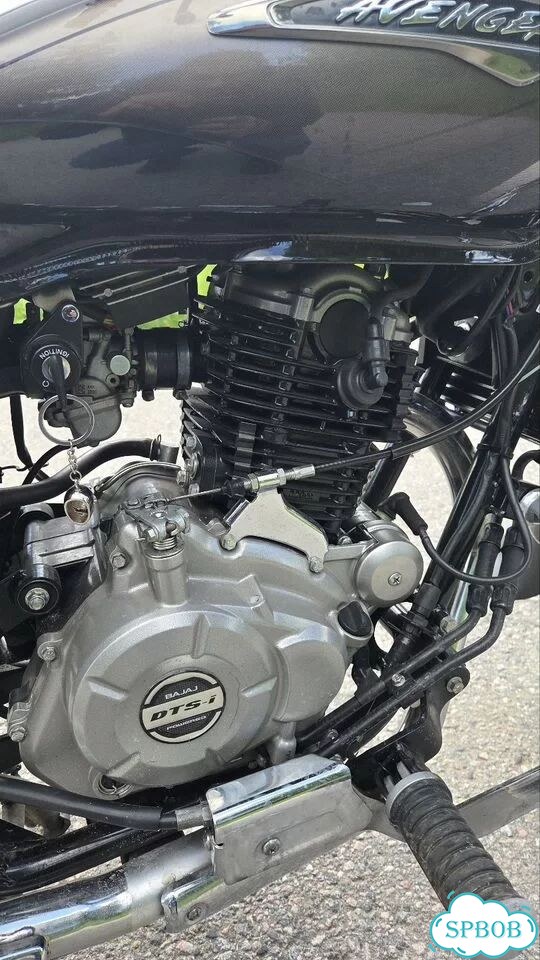 Bajaj Avenger Cruise 220, 2023, 2 911 км фото 10