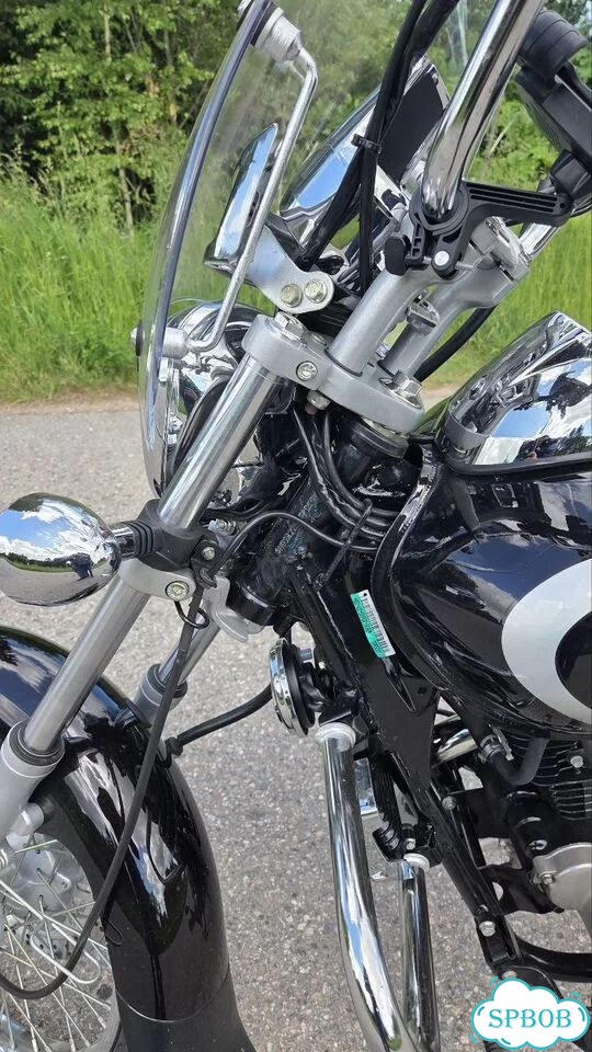 Bajaj Avenger Cruise 220, 2023, 2 911 км фото 8
