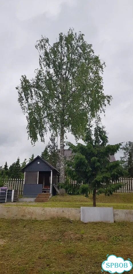Дом 130 м² на участке 10 сот. фото 28