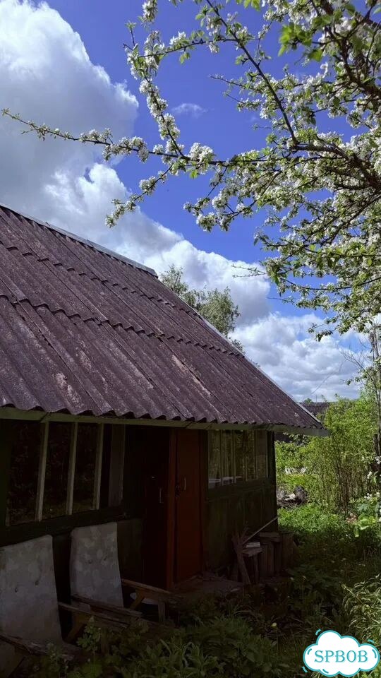 Дом 19 м² на участке 10 сот. фото 4