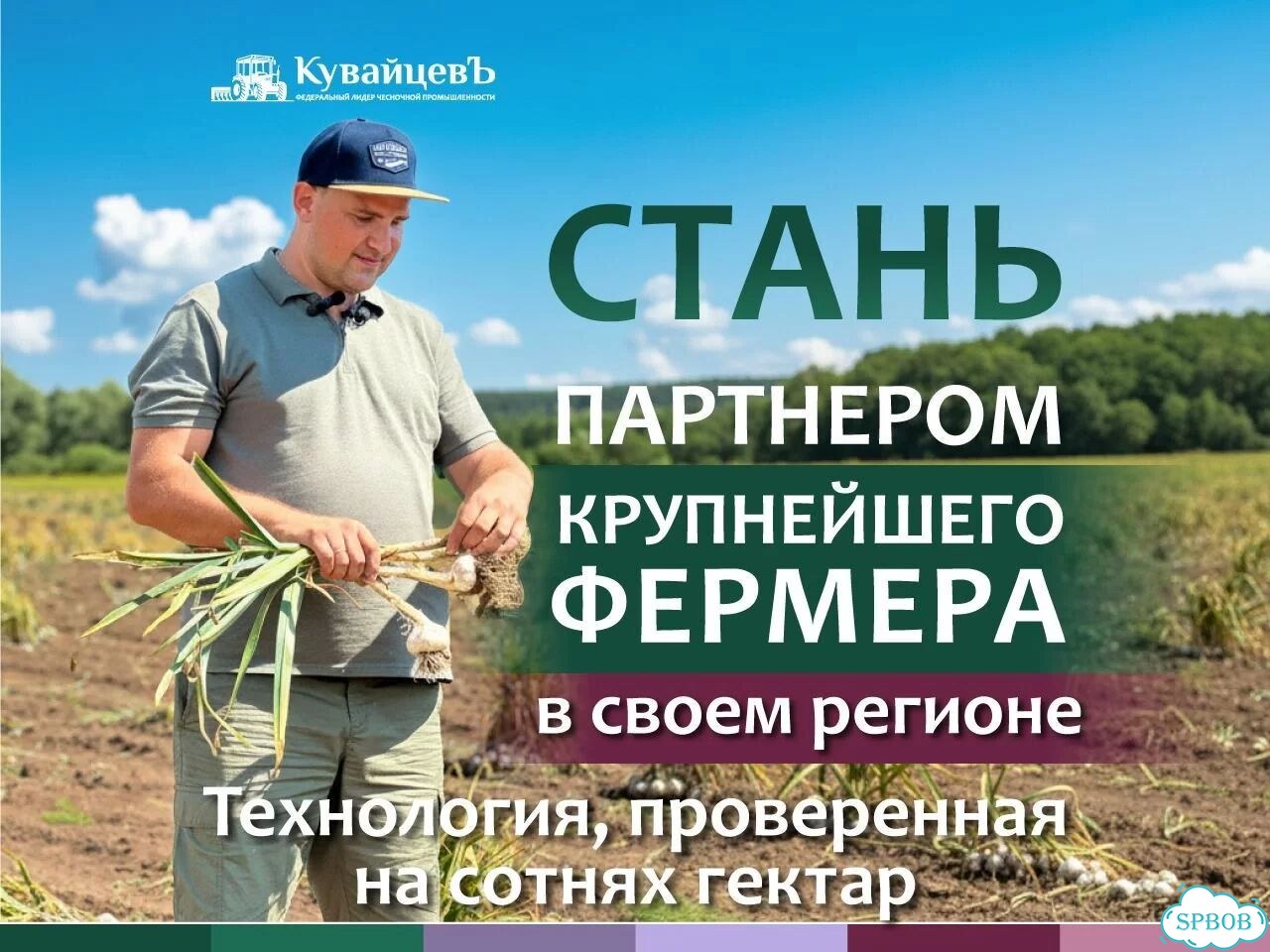 Франшиза по выращиванию чеснока фото 1