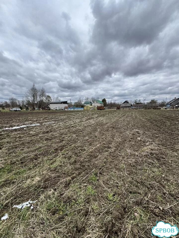 Участок 16,5 сот. (ИЖС) фото 2