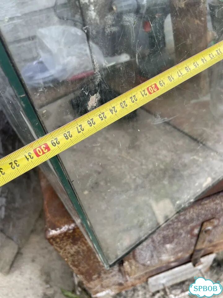 Аквариум фото 2