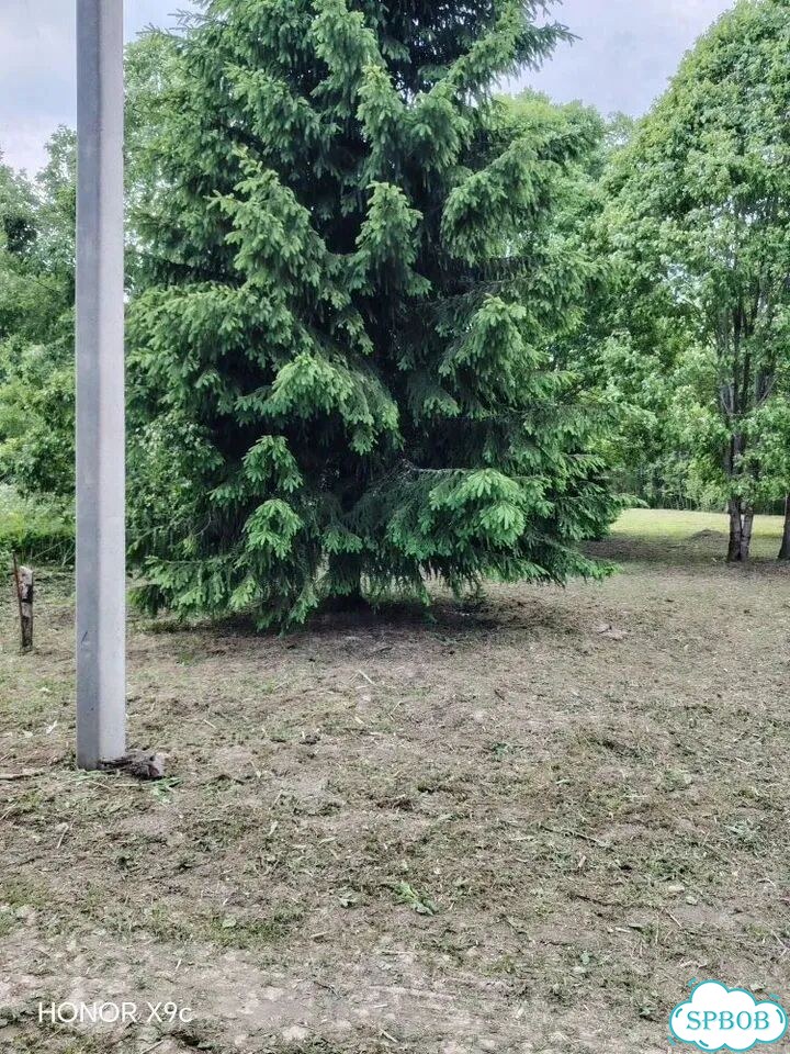 Участок 15 сот. (ИЖС) фото 3