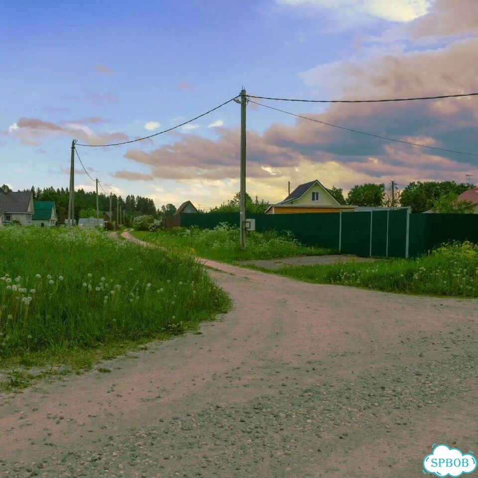 Участок 10 сот. (ИЖС) фото 5