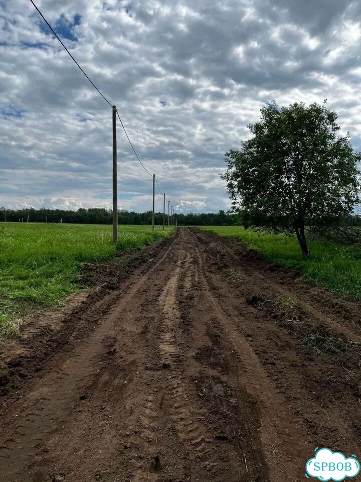 Участок 15 сот. (ИЖС) фото 3