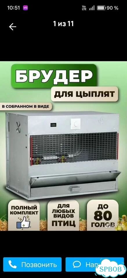 Брудер для цыплят фото 2