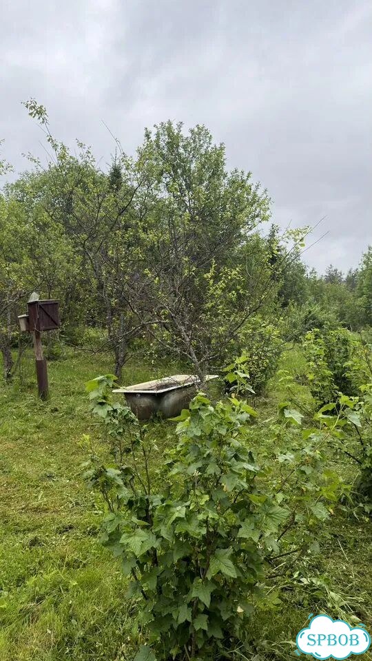 Дача 50 м² на участке 14,5 сот. фото 8