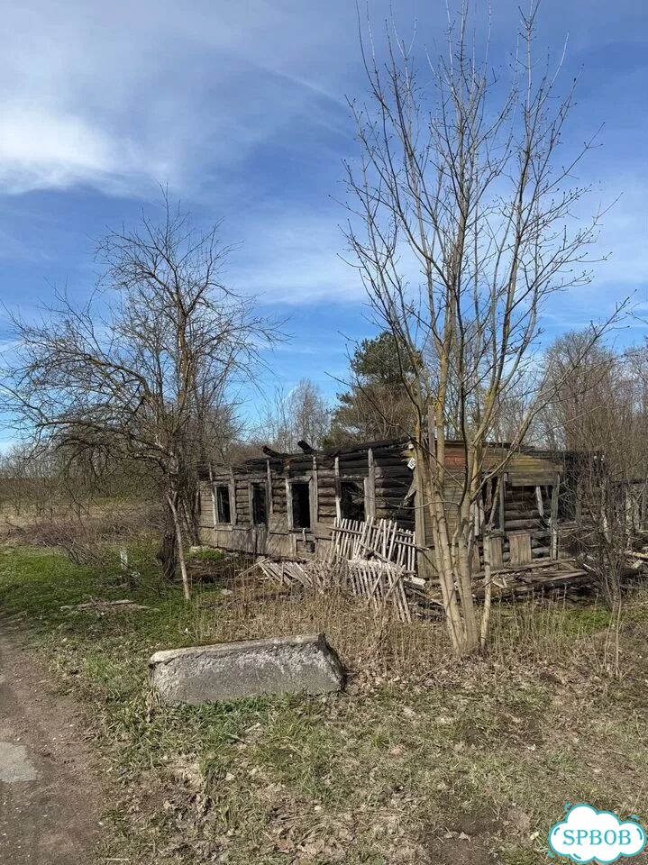 Участок 10 сот. (ИЖС) фото 1