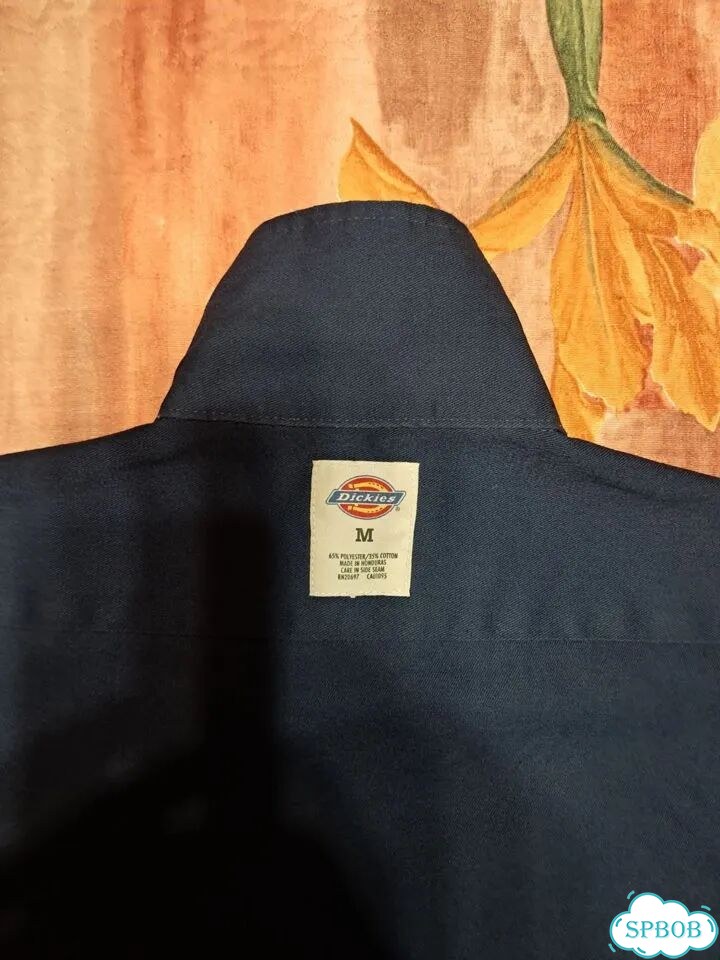 Dickies/Никарагуа/рубашка короткие рукава фото 2