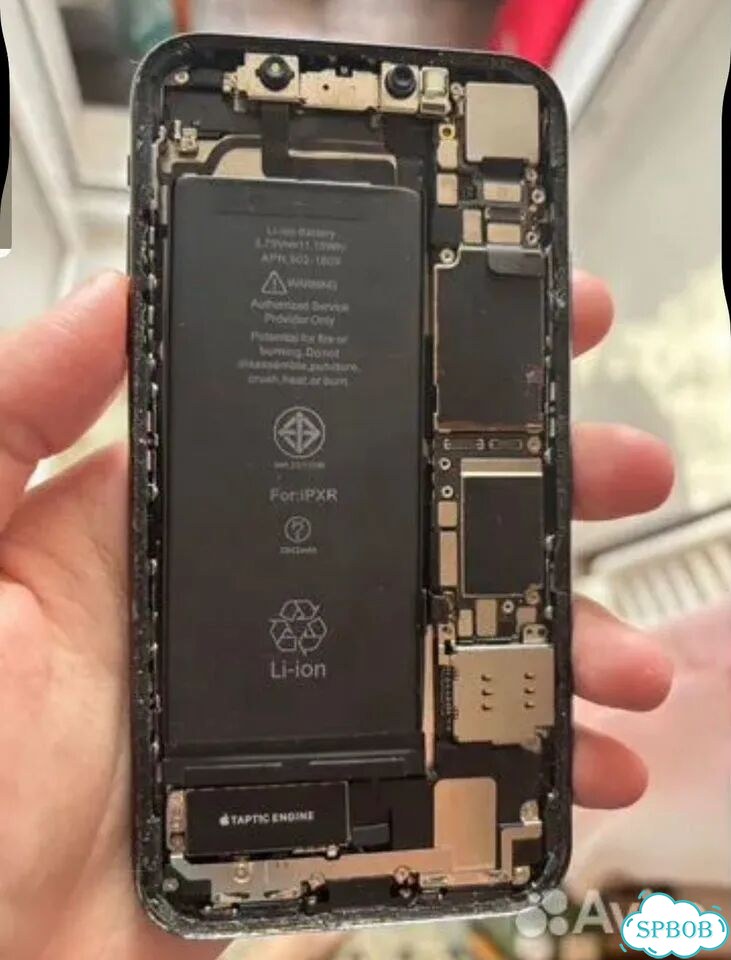 iPhone Xr, 64 ГБ, SIM + eSIM фото 2