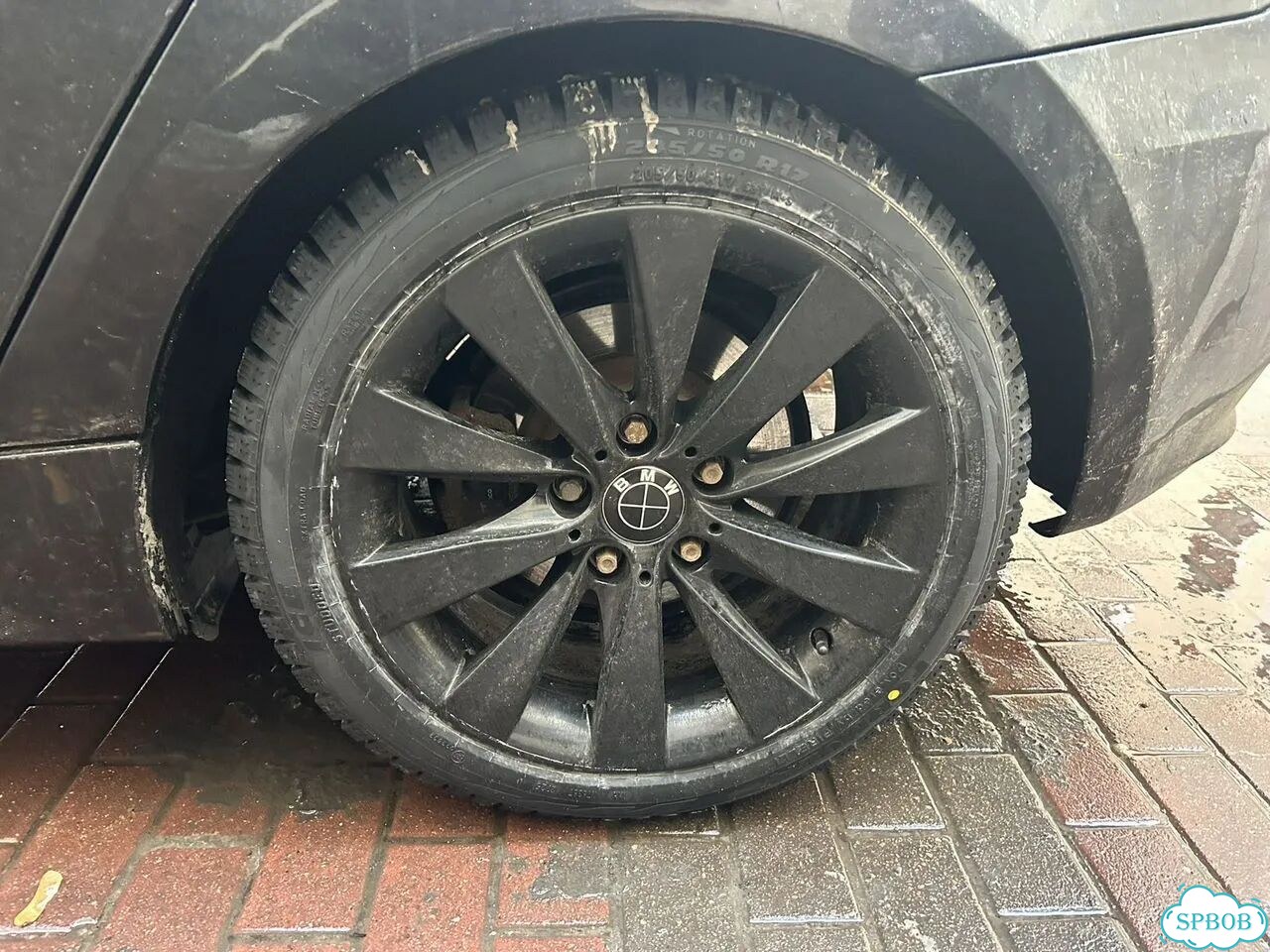 Formula Ice 205/50 R17 93T фото 1