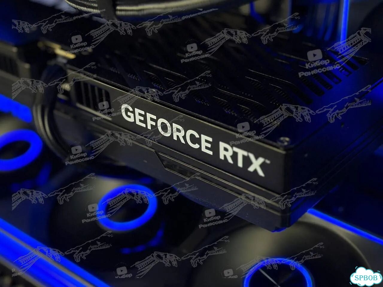 AMD Ryzen 7 9800X3D RX 9070 XT 32GB 1TB фото 6
