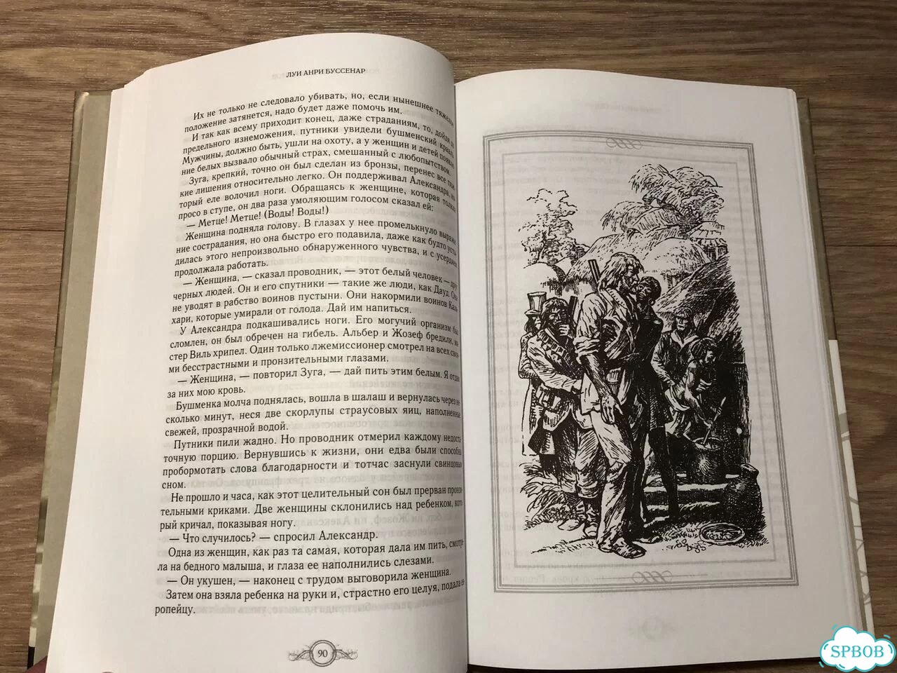 Луи Буссенар «Похитители бриллиантов» фото 8