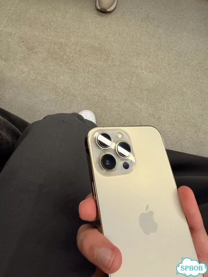 iPhone 13 Pro Max, 256 ГБ, SIM + eSIM фото 1
