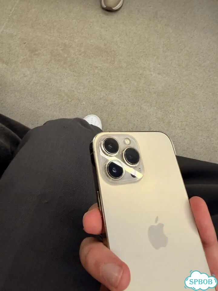 iPhone 13 Pro Max, 256 ГБ, SIM + eSIM фото 2