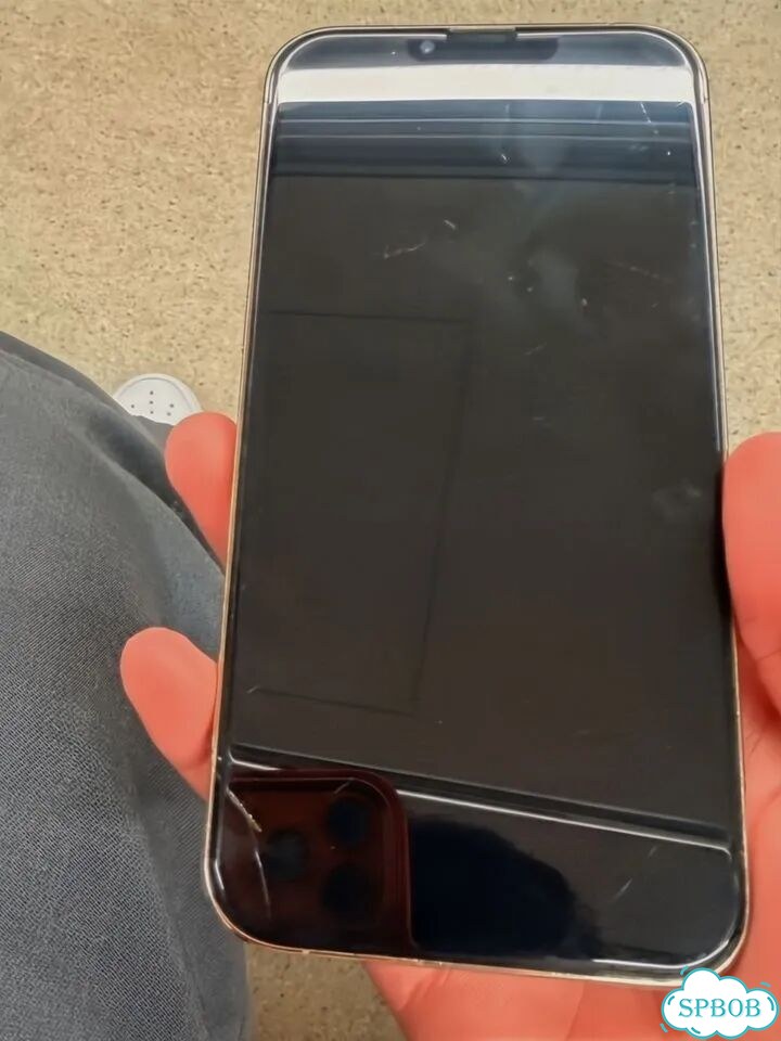 iPhone 13 Pro Max, 256 ГБ, SIM + eSIM фото 7