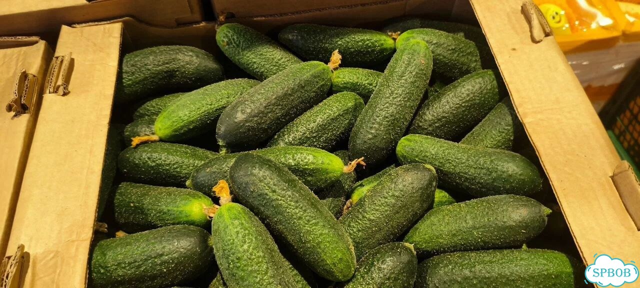 Огурцы хрустящие супер вкусные цена за 1кг фото 1