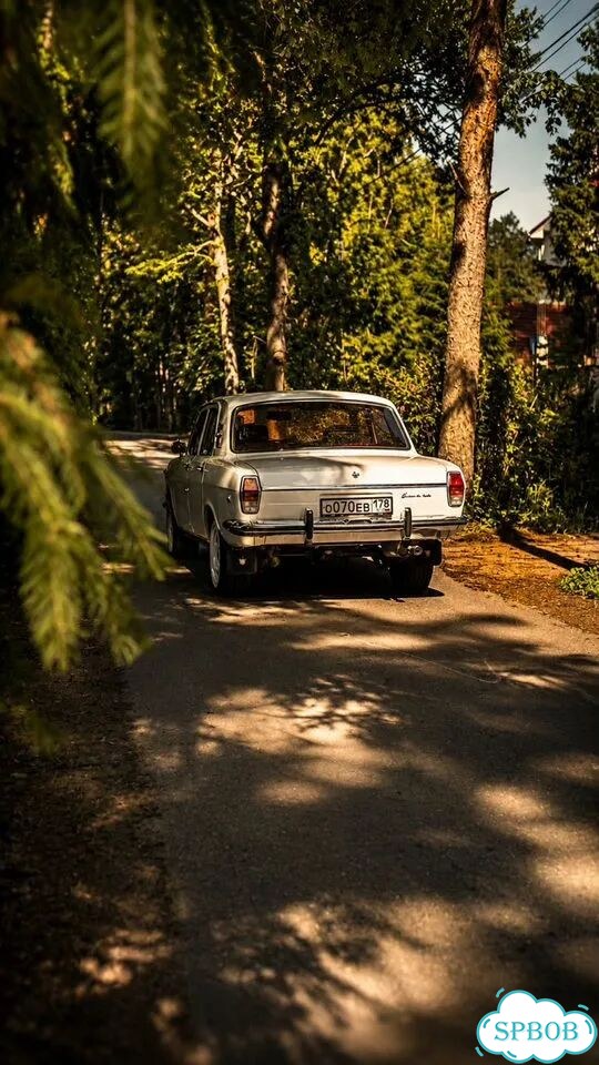 Аренда прокат автомобиля Волга фото 2
