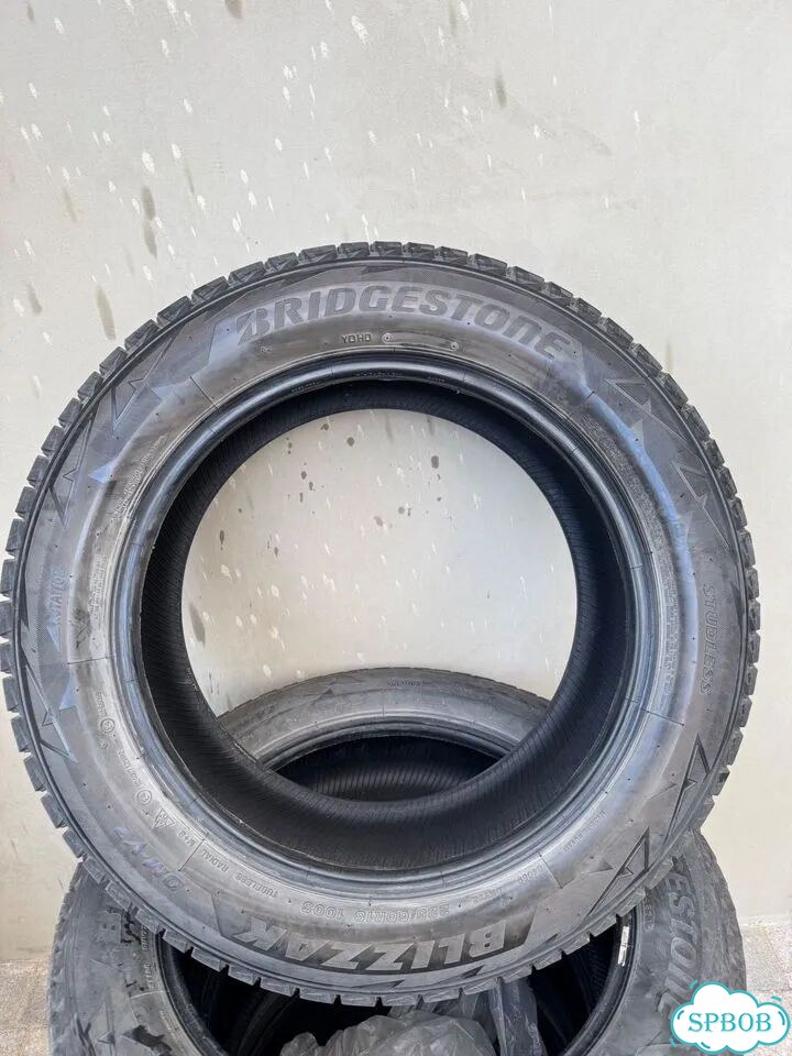 Bridgestone Blizzak DM-V2 225/60 R18 100S фото 1