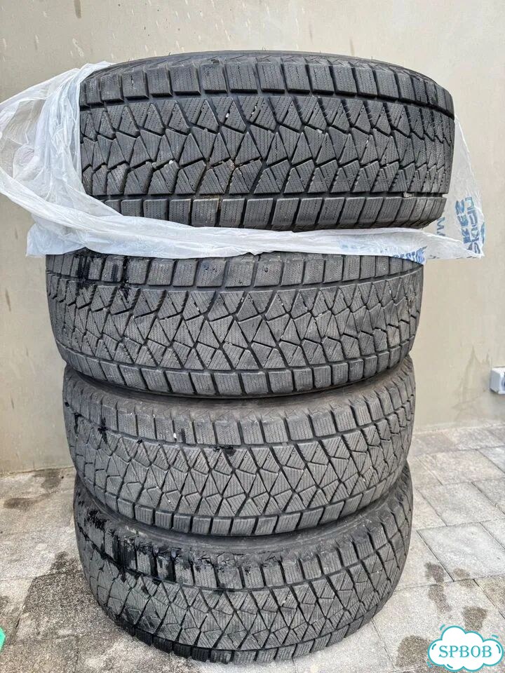 Bridgestone Blizzak DM-V2 225/60 R18 100S фото 4