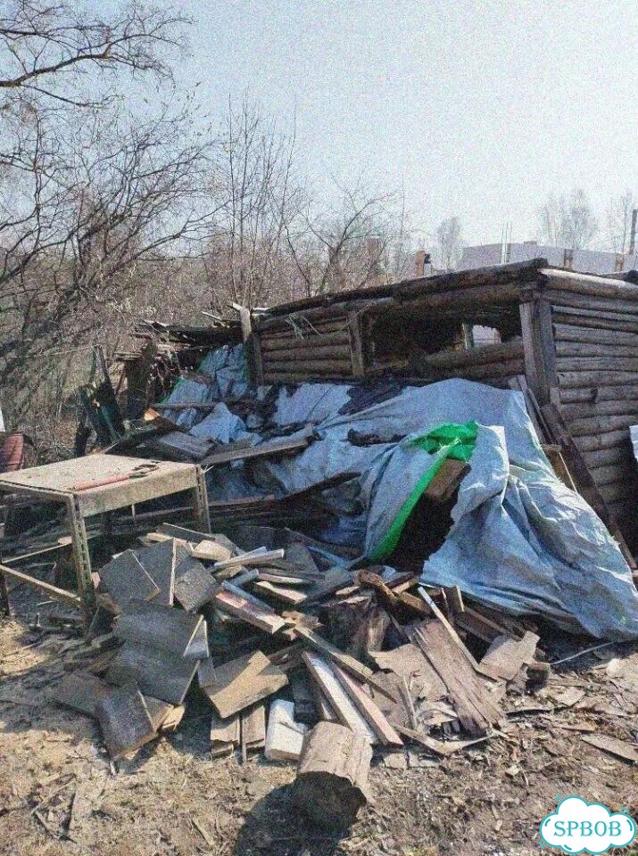 Вывоз мусора, старой мебели, строительного мусора фото 4