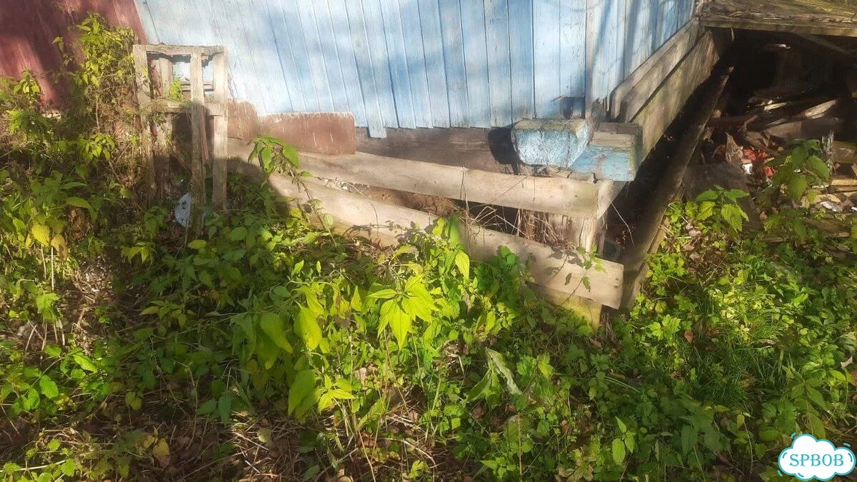 Вывоз строительного мусора и мебели фото 4