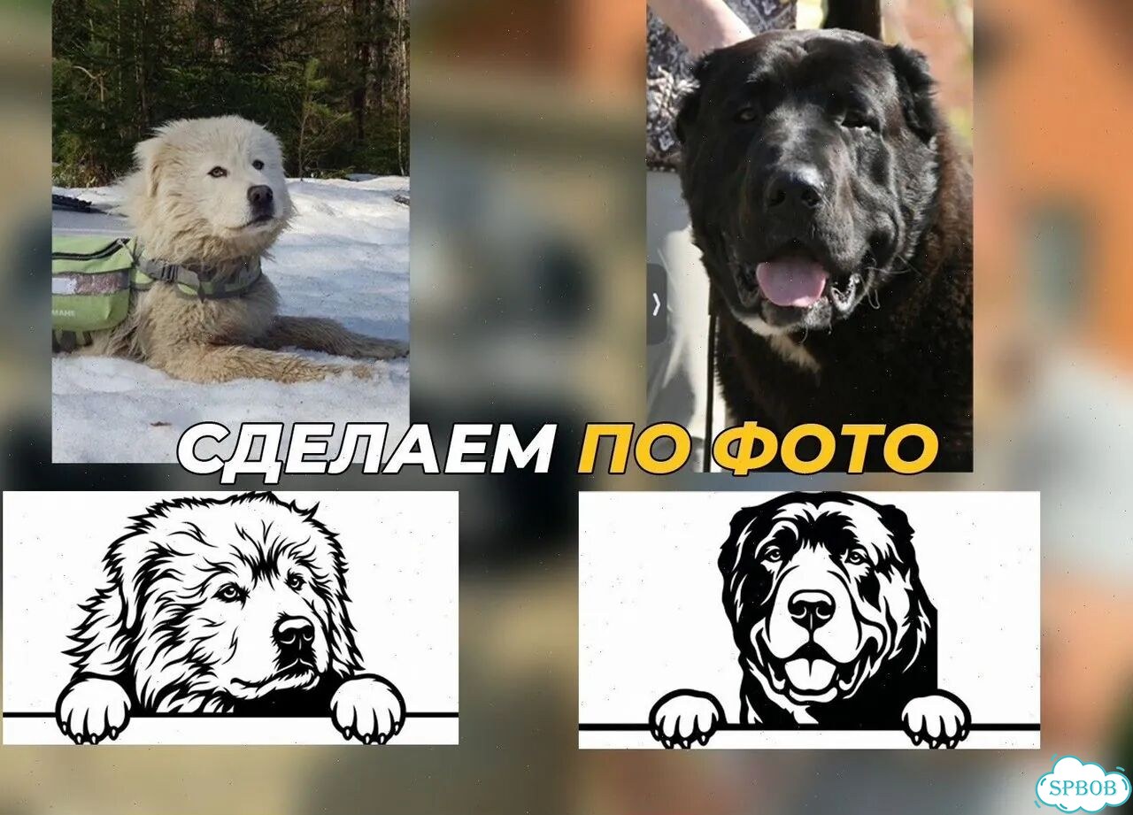 Вывеска на дом с животными из металла фото 9