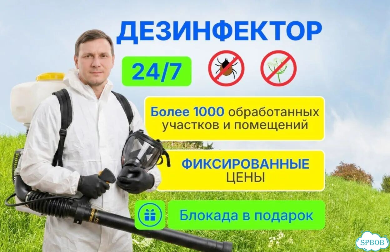 Обработка от клещей, комаров, муравьев Дезинсекция фото 1