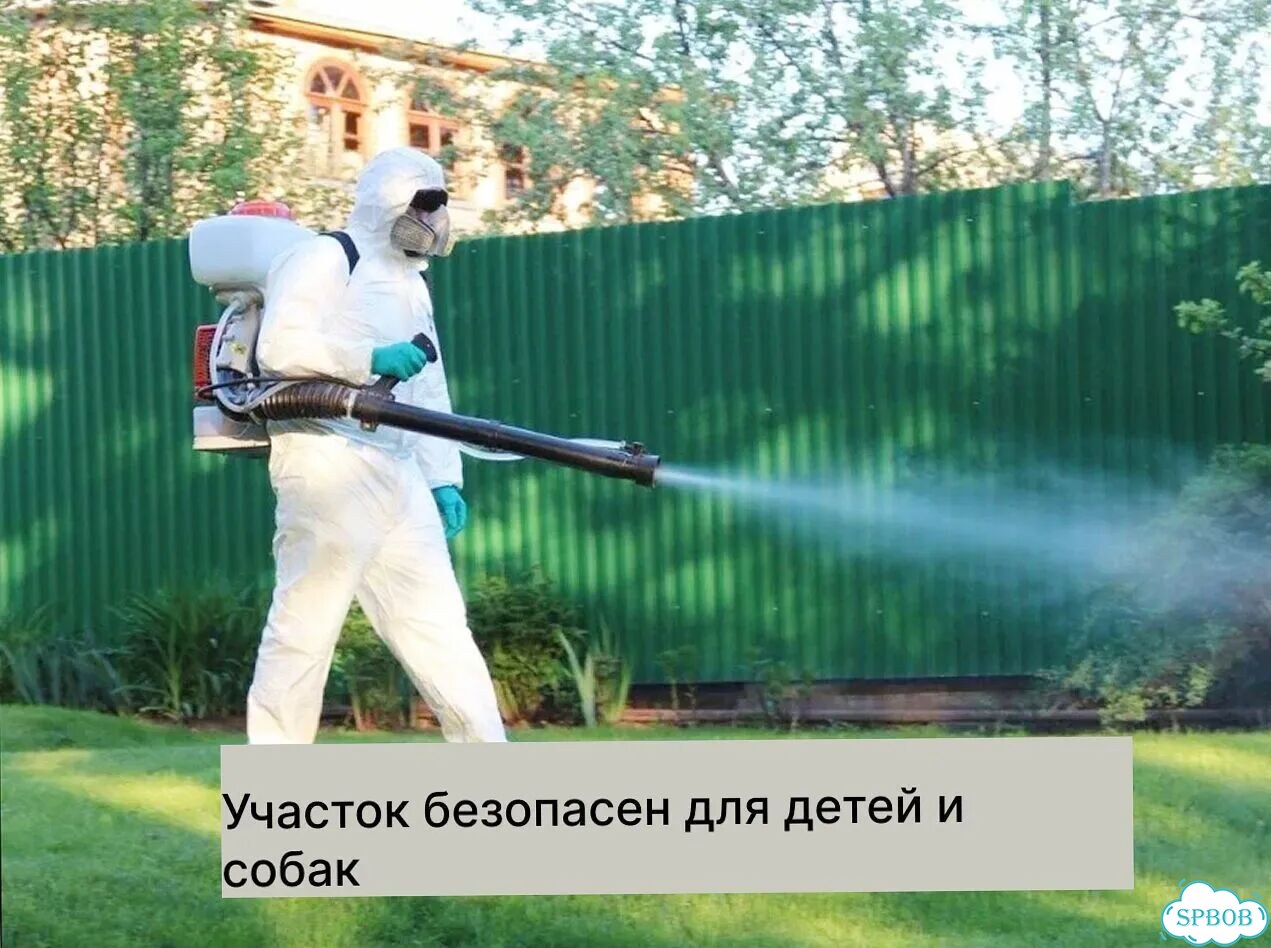 Обработка от клещей, комаров, муравьев Дезинсекция фото 10