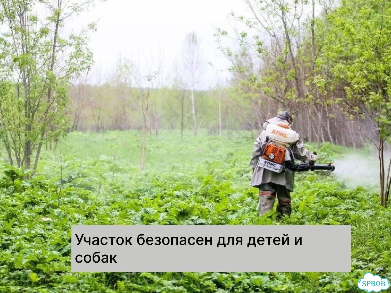 Обработка от клещей, комаров, муравьев Дезинсекция фото 3