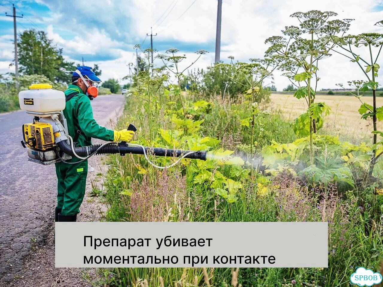 Обработка от клещей, комаров, муравьев Дезинсекция фото 5