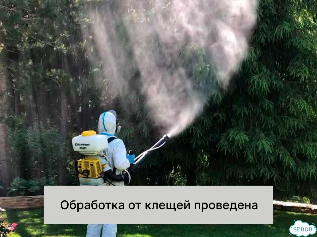 Обработка от клещей, комаров, муравьев Дезинсекция фото 6