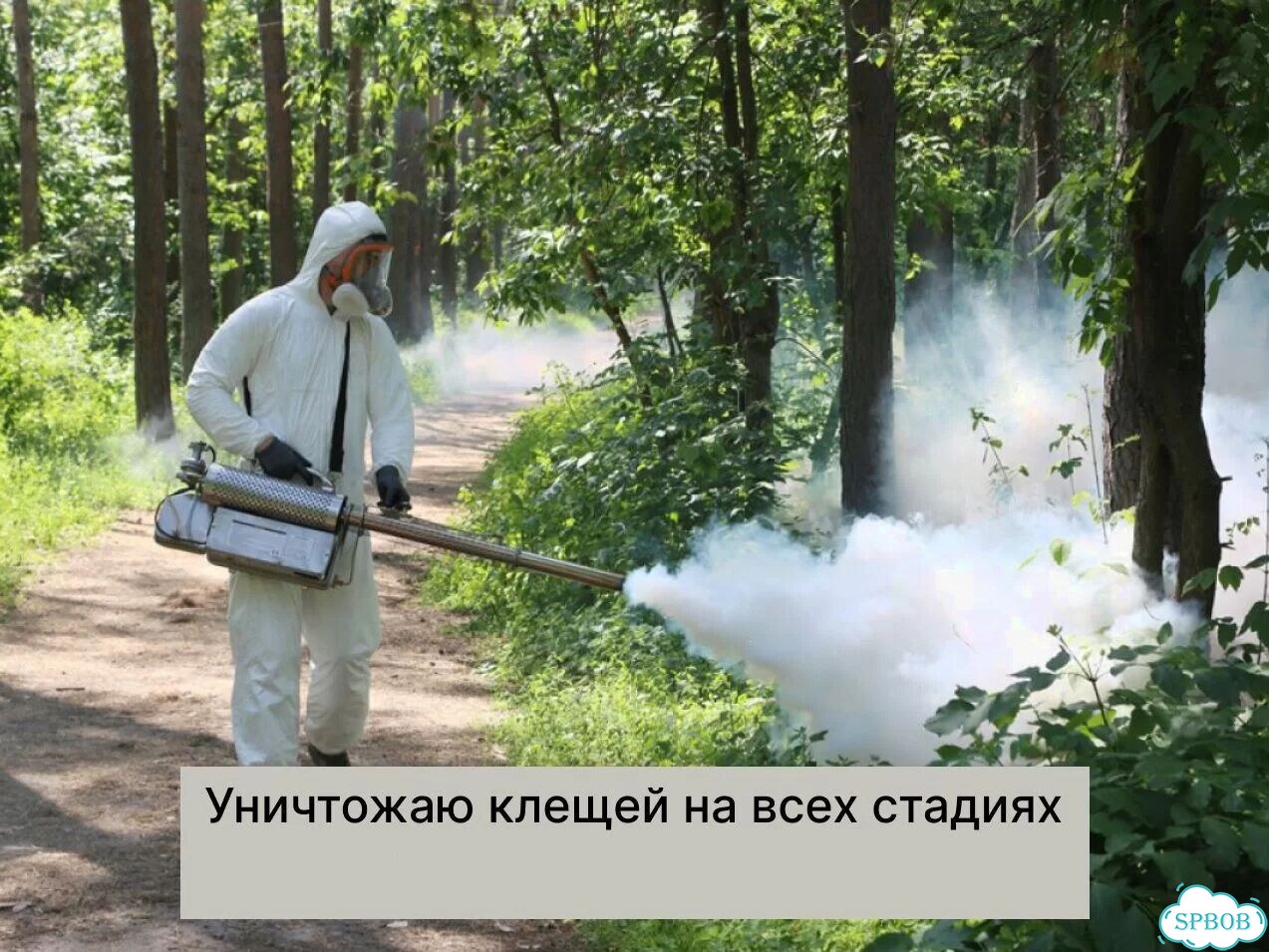 Обработка от клещей, комаров, муравьев Дезинсекция фото 7