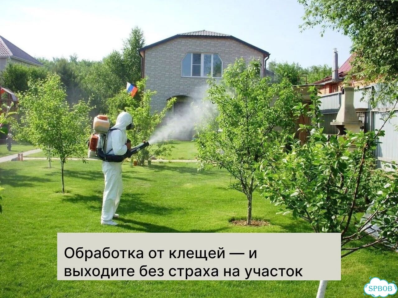 Обработка от клещей, комаров, муравьев Дезинсекция фото 8