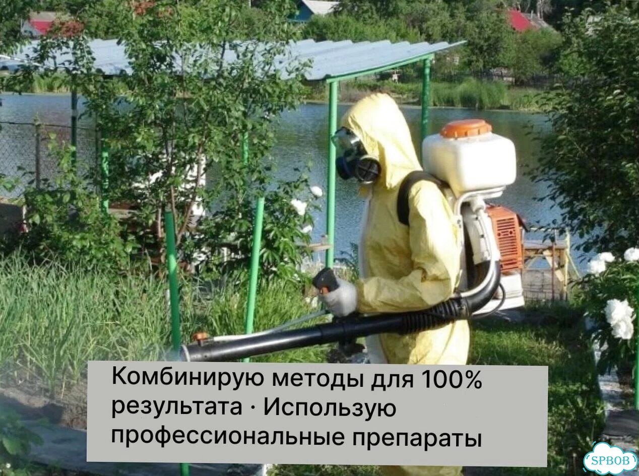 Обработка от клещей, комаров, муравьев Дезинсекция фото 9