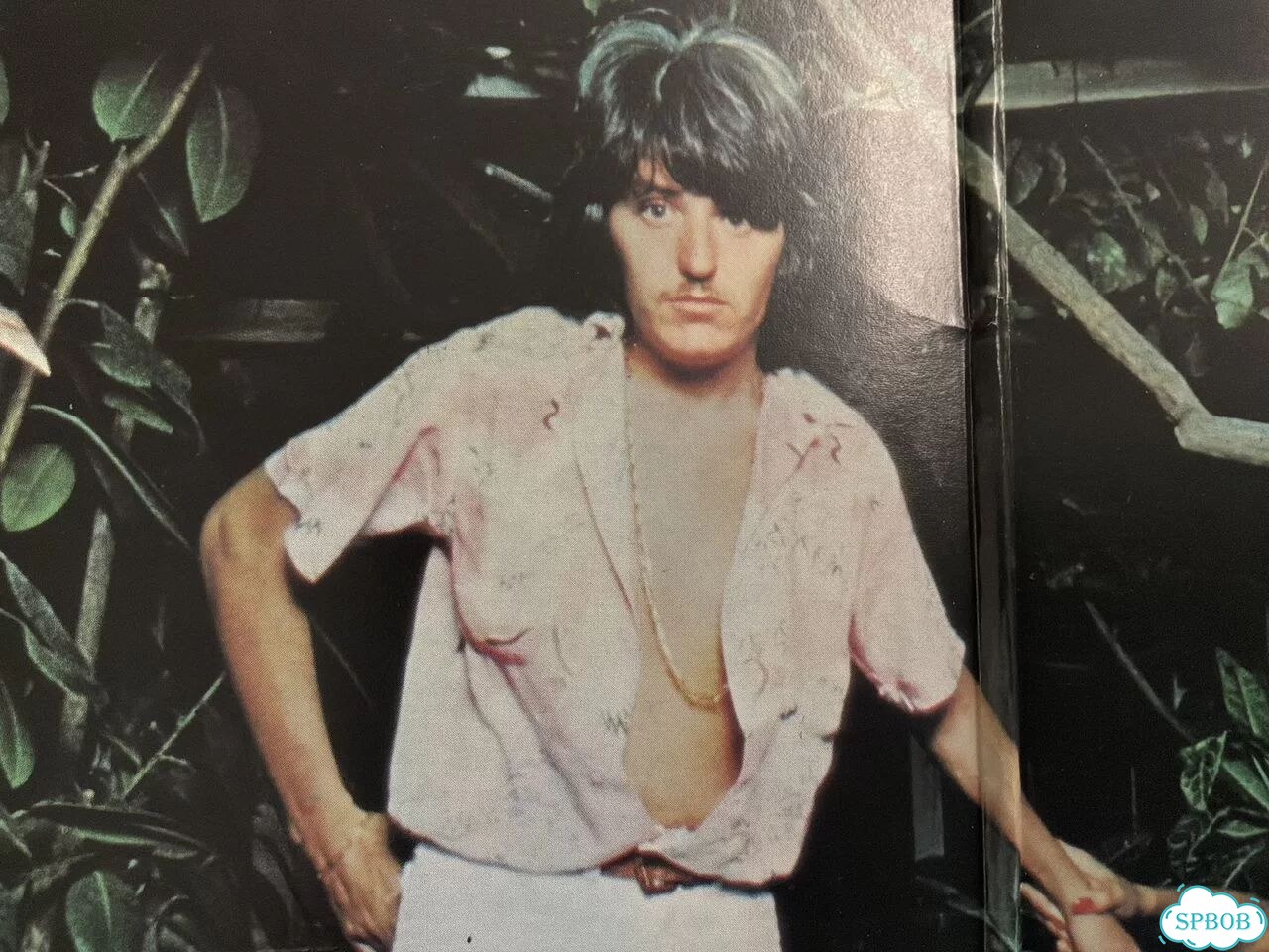 Cerrone 1977 supernature france original фото 4