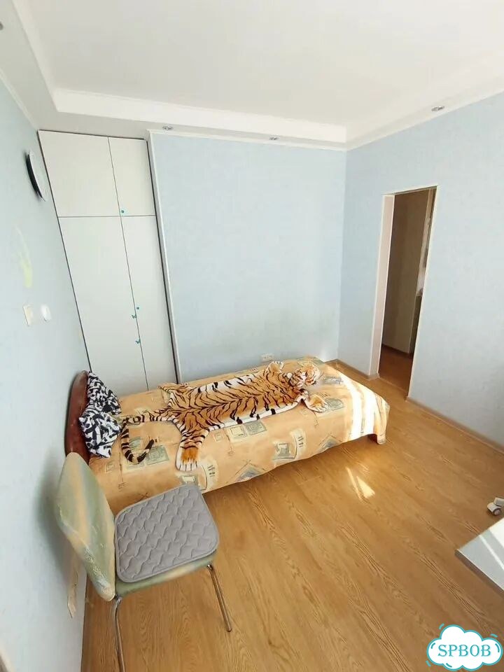 1-к. квартира, 28 м², 8/8 эт. фото 4
