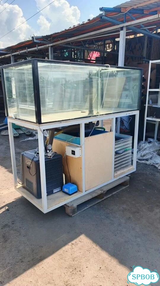 Аквариум для продажи живой рыбы фото 4