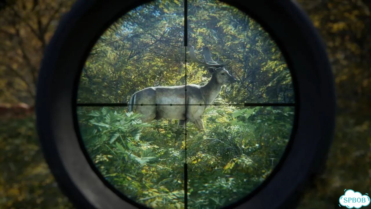 TheHunter Call of the Wild PS4/PS5 На Русском фото 4